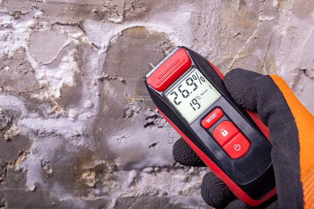 Office Mold Removal Services in Jordan, NY