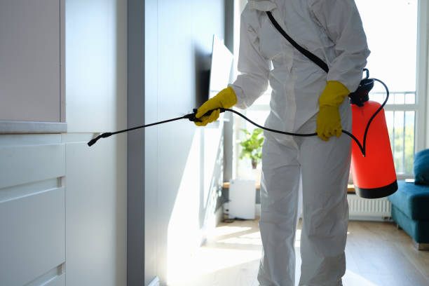 Best Residential Mold Removal  in Jordan, NY